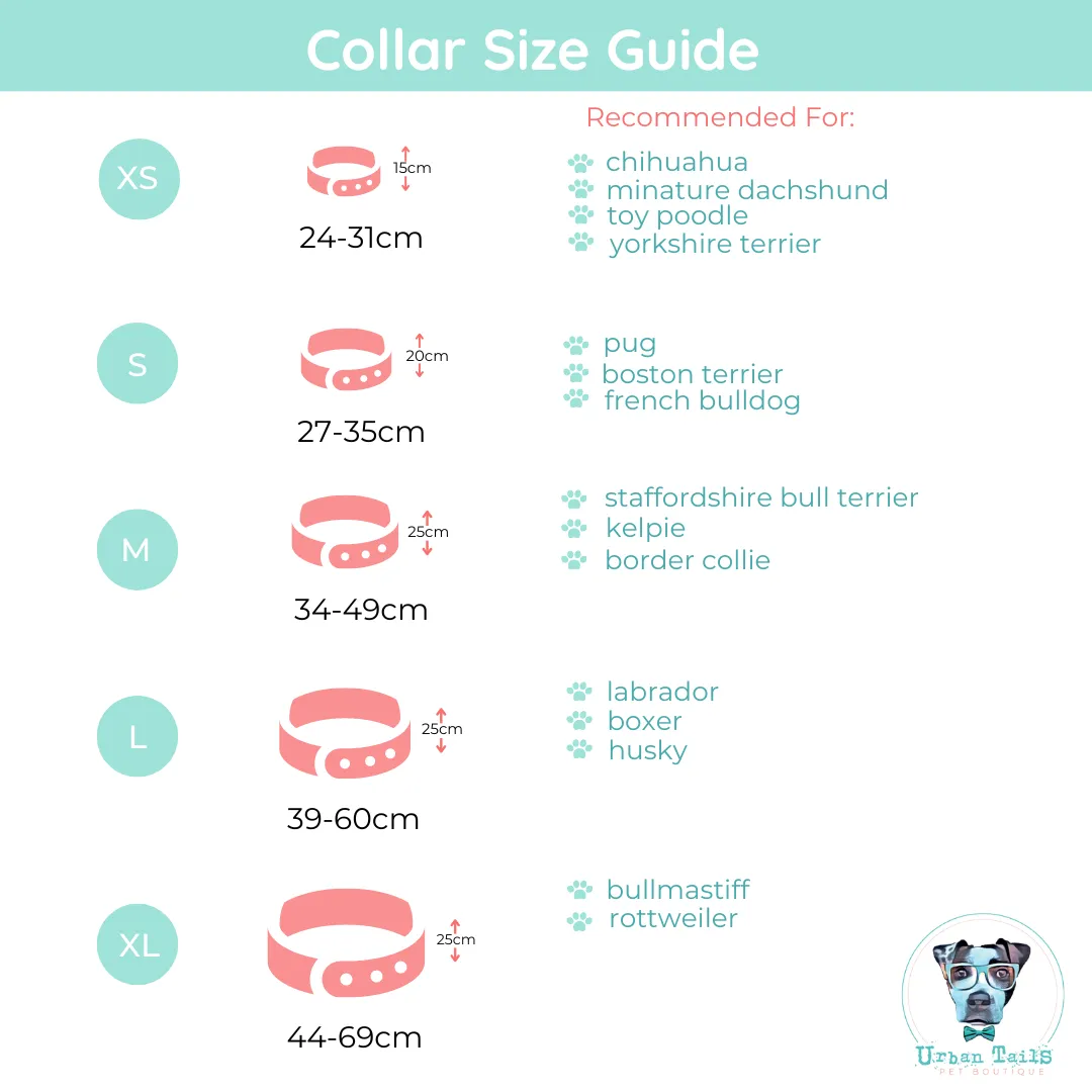 Blooming Lions Dog Collar