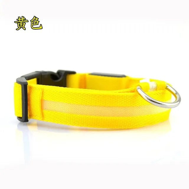 LED Dog Collar