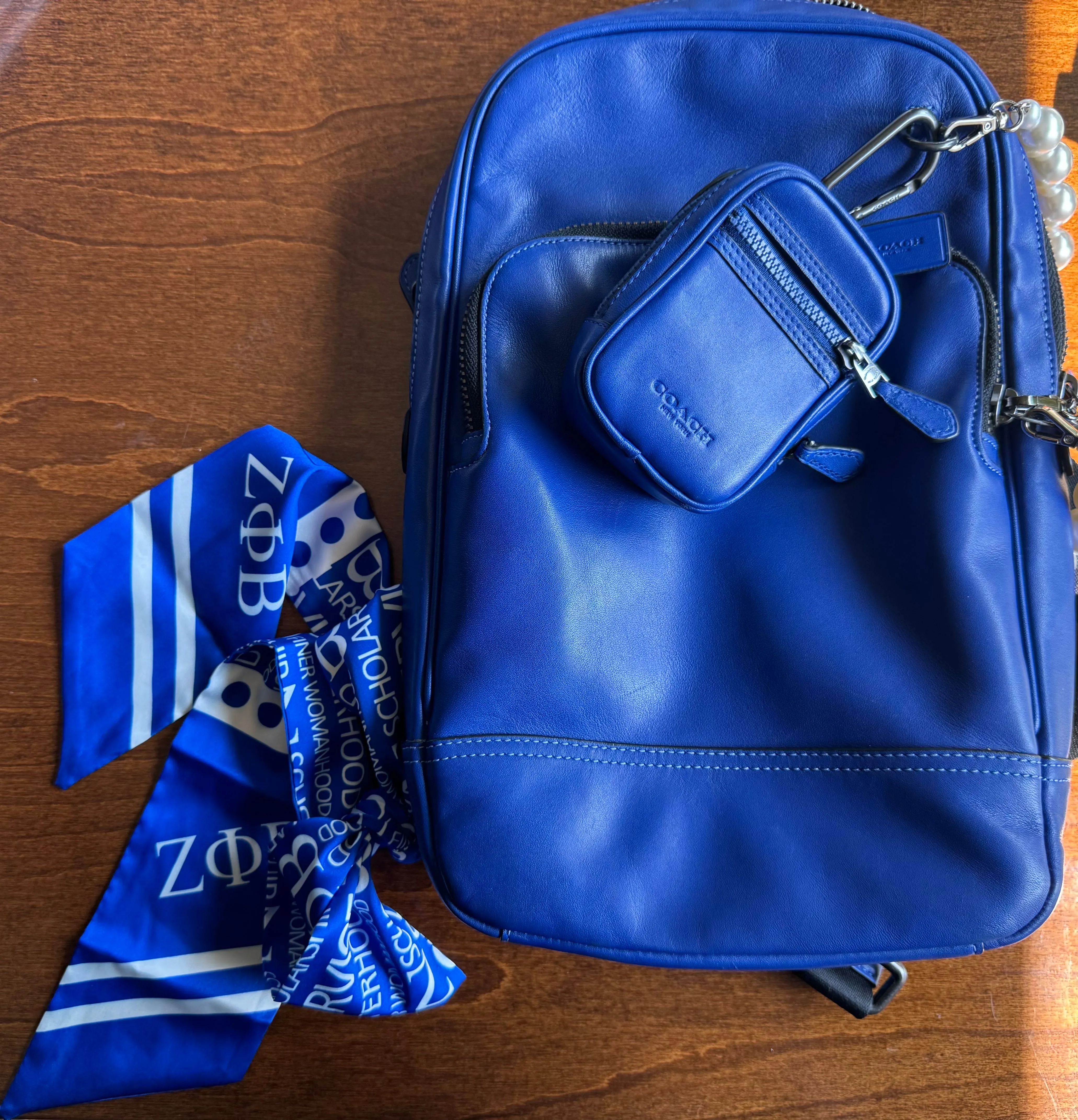 Principles Satin Purse Scarf