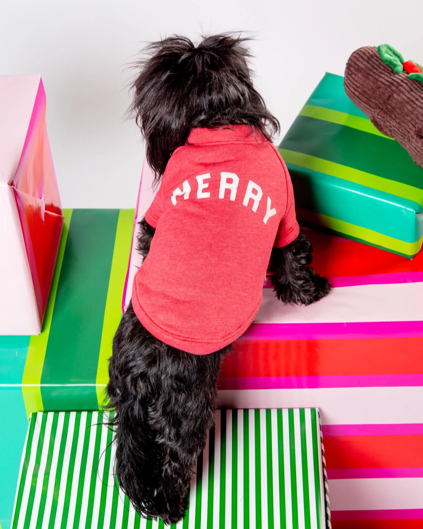 "Merry" Holiday Sweatshirt for Dogs (SALE)
